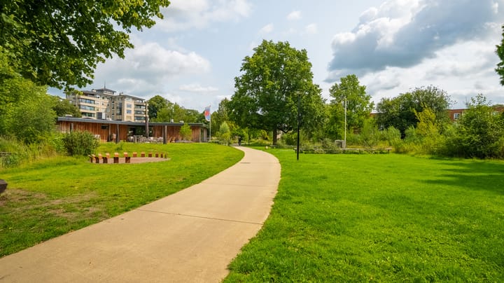 Foto 25 van Hagenborgh 295