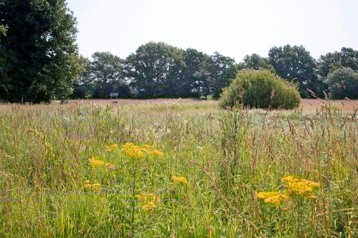 Foto 49 van Sleutelbloemstraat 38