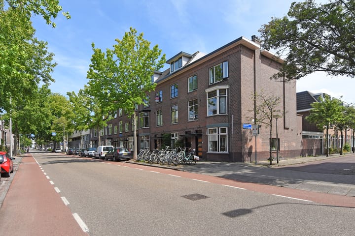Foto 48 van Hugo de Grootstraat 127