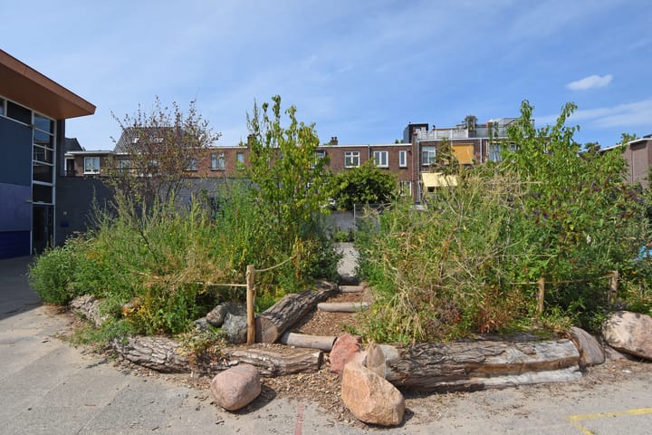 Foto 53 van Hugo de Grootstraat 127