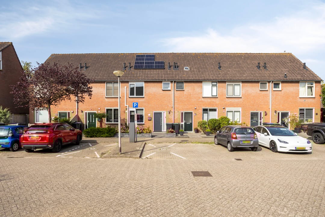 Foto 2 van Dukaatvlinder 21