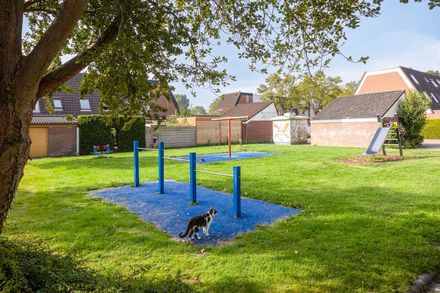 Foto 25 van Dukaatvlinder 21