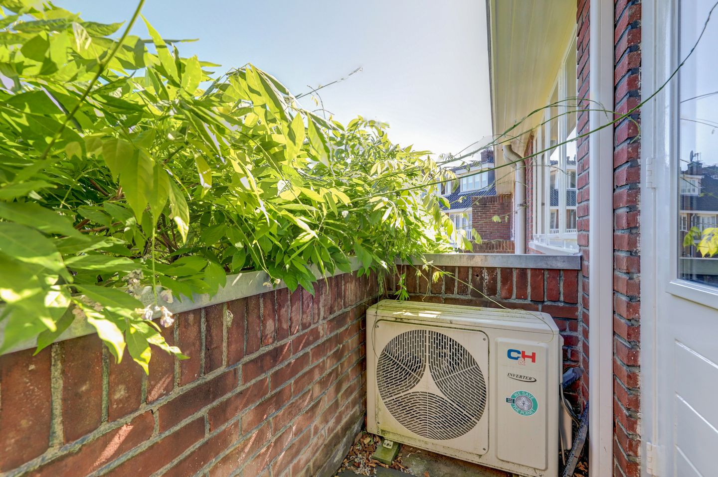 Foto 40 van Griegstraat 11