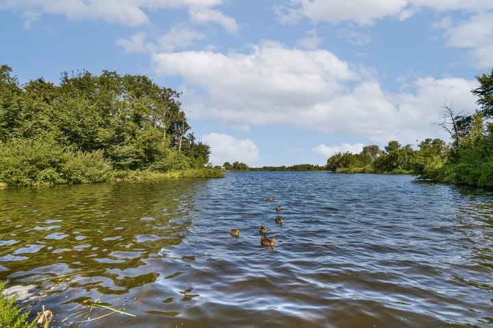 Foto 24 van Harpoenier 23