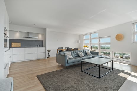 Ecuplein 65 secondary image