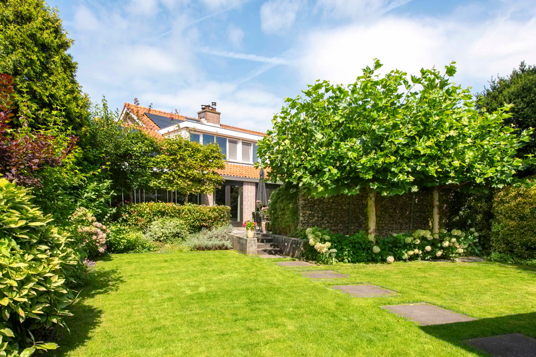 Photo 53 of Strammerboogh 35