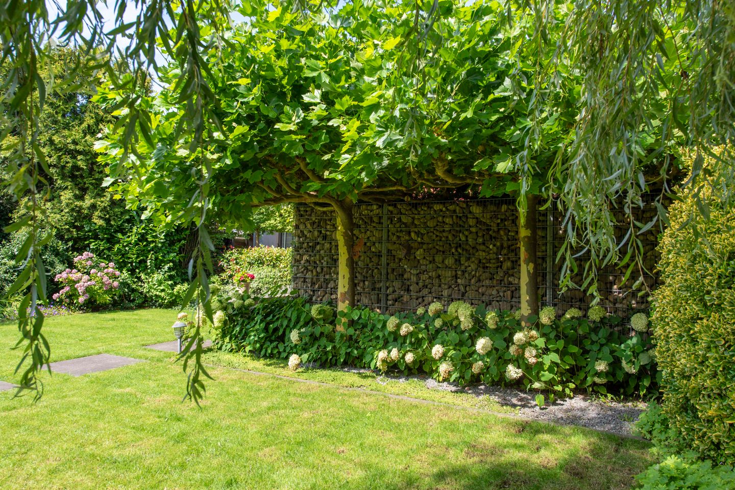 Photo 65 of Strammerboogh 35