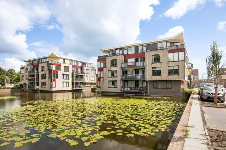 Foto 34 van Werengouw 29