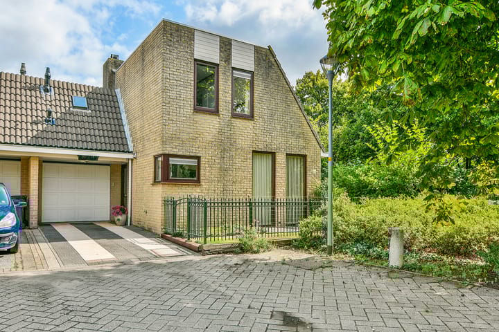 undefined main image
