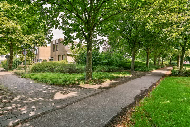 Foto 4 van Liesbos 58