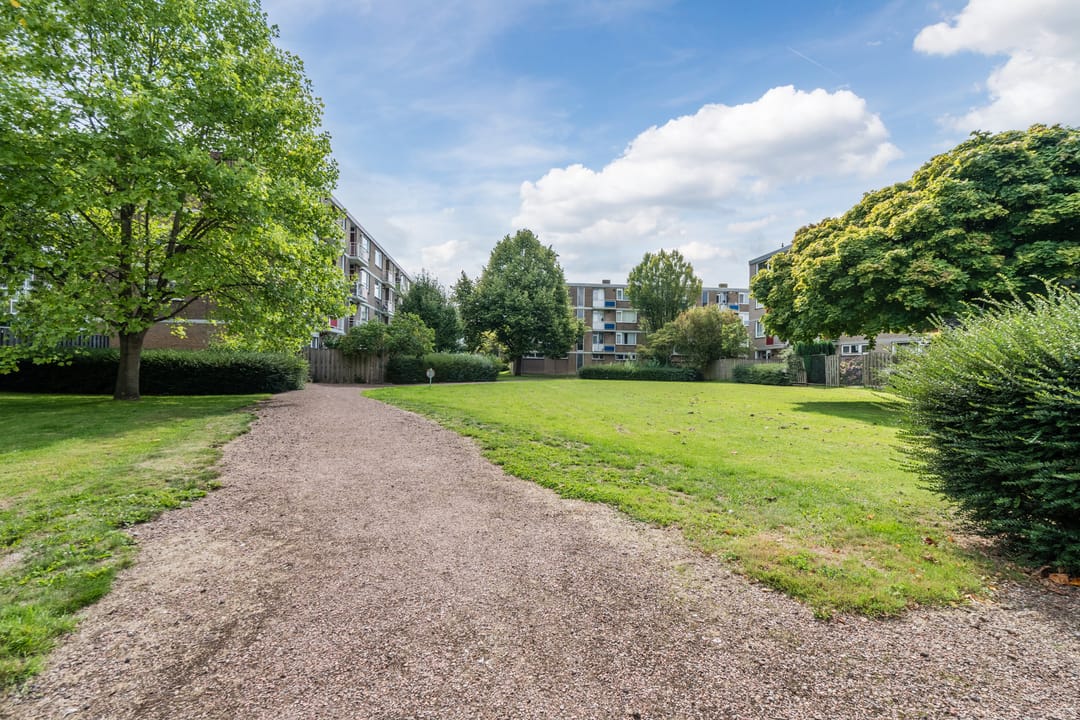 Photo 43 of Burgemeester de Zeeuwstraat 210