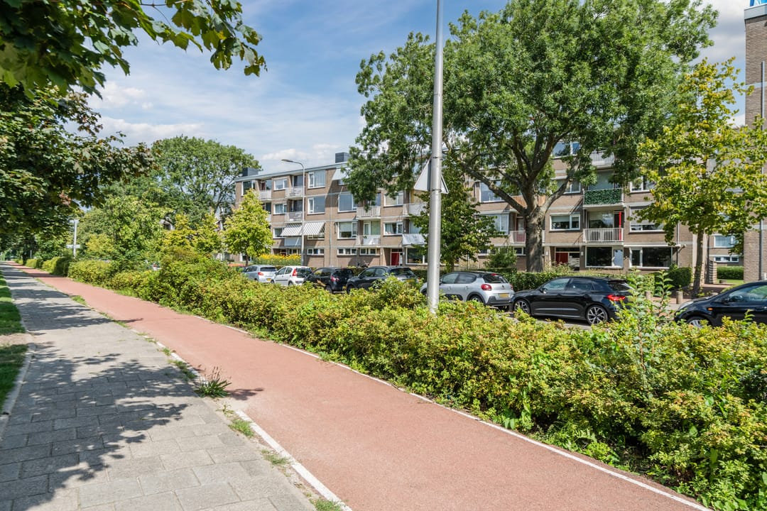 Photo 46 of Burgemeester de Zeeuwstraat 210