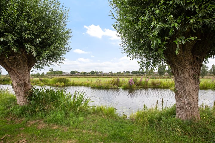 Photo 43 of Dick Tolstraat 21