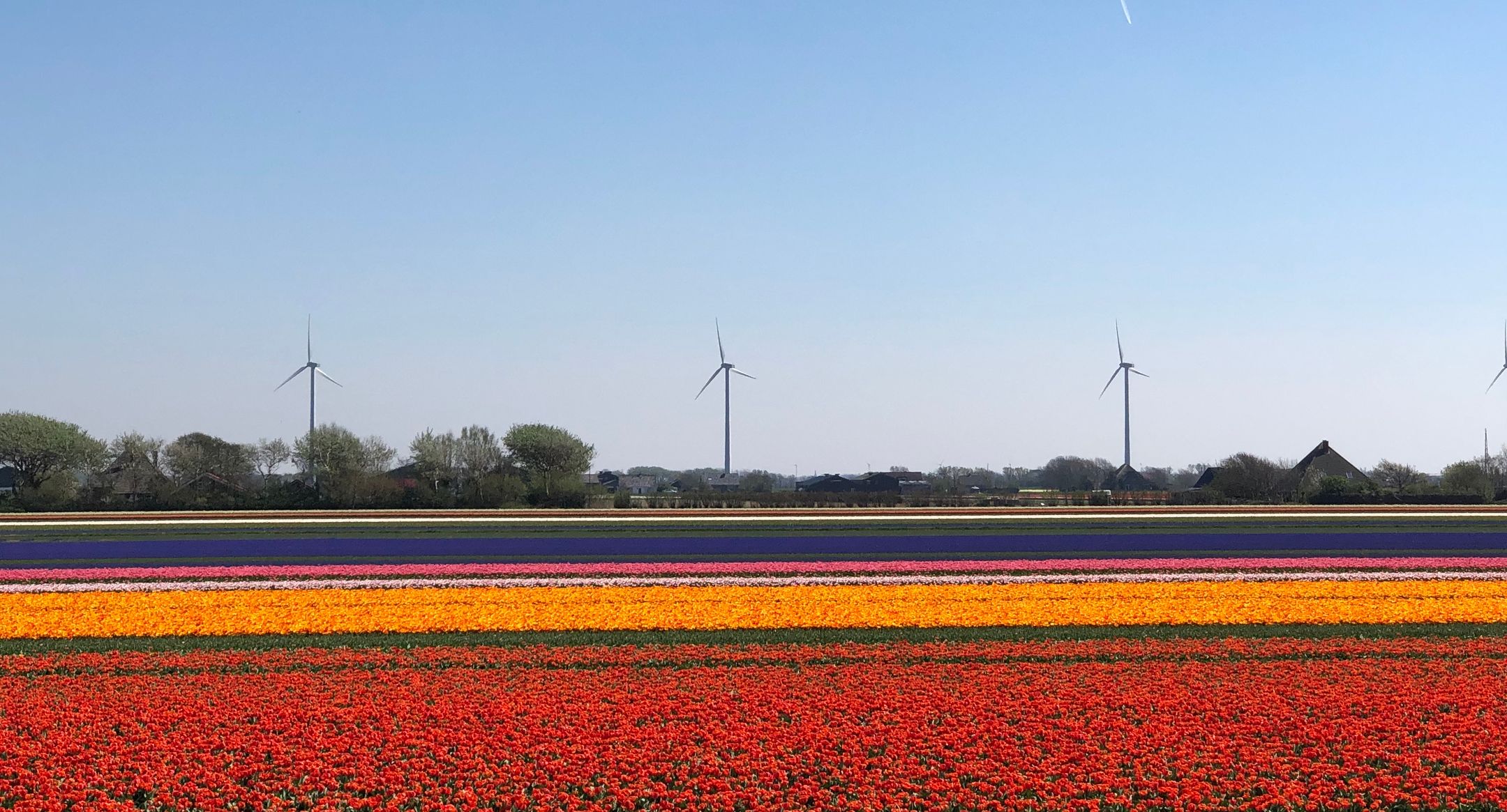 Foto 27 van Coppersdelle 10