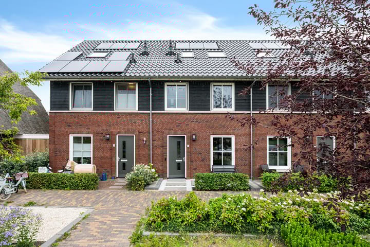 Foto 1 van Glorie van Hollanderf 6