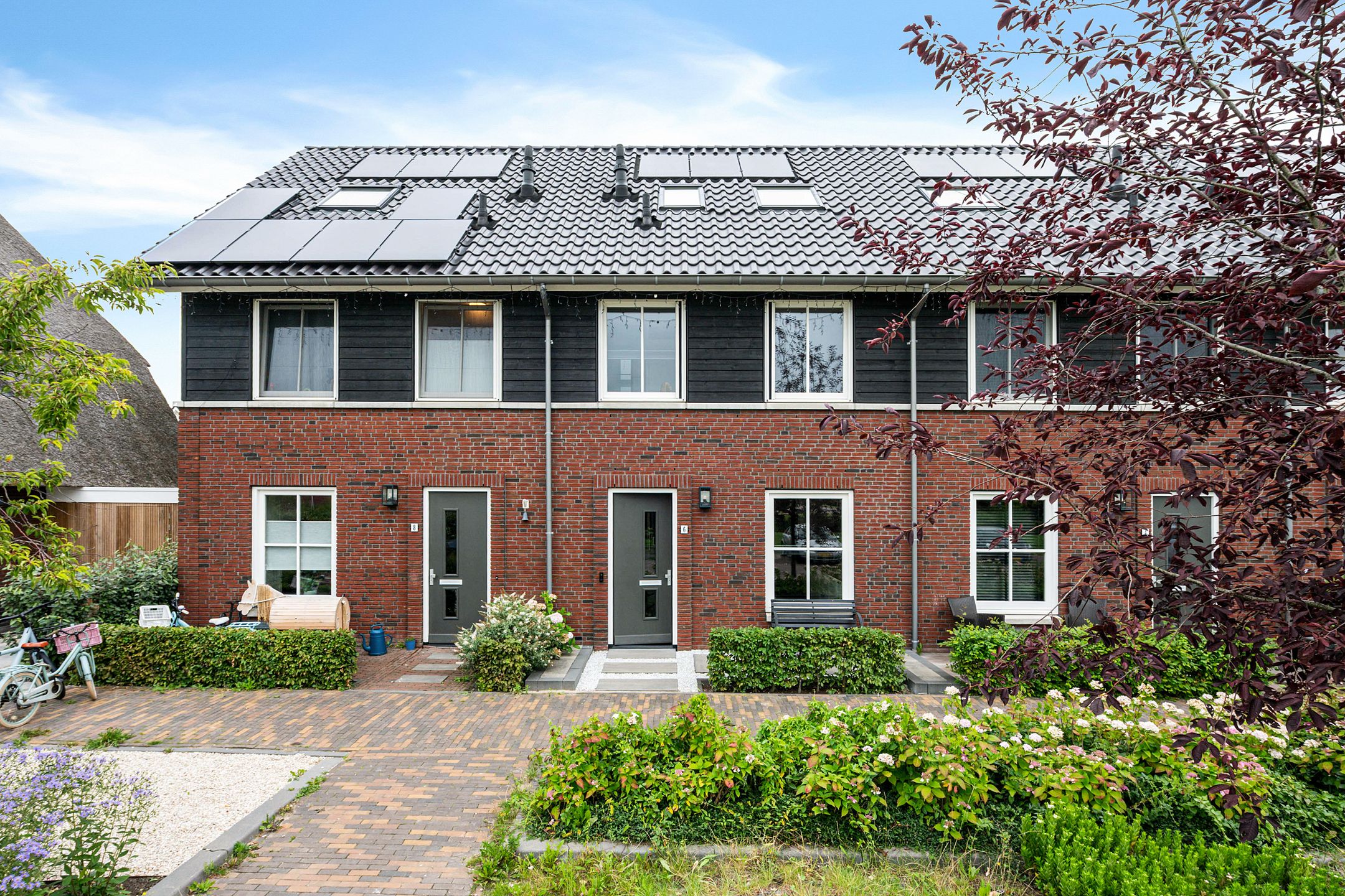 Glorie van Hollanderf 6 