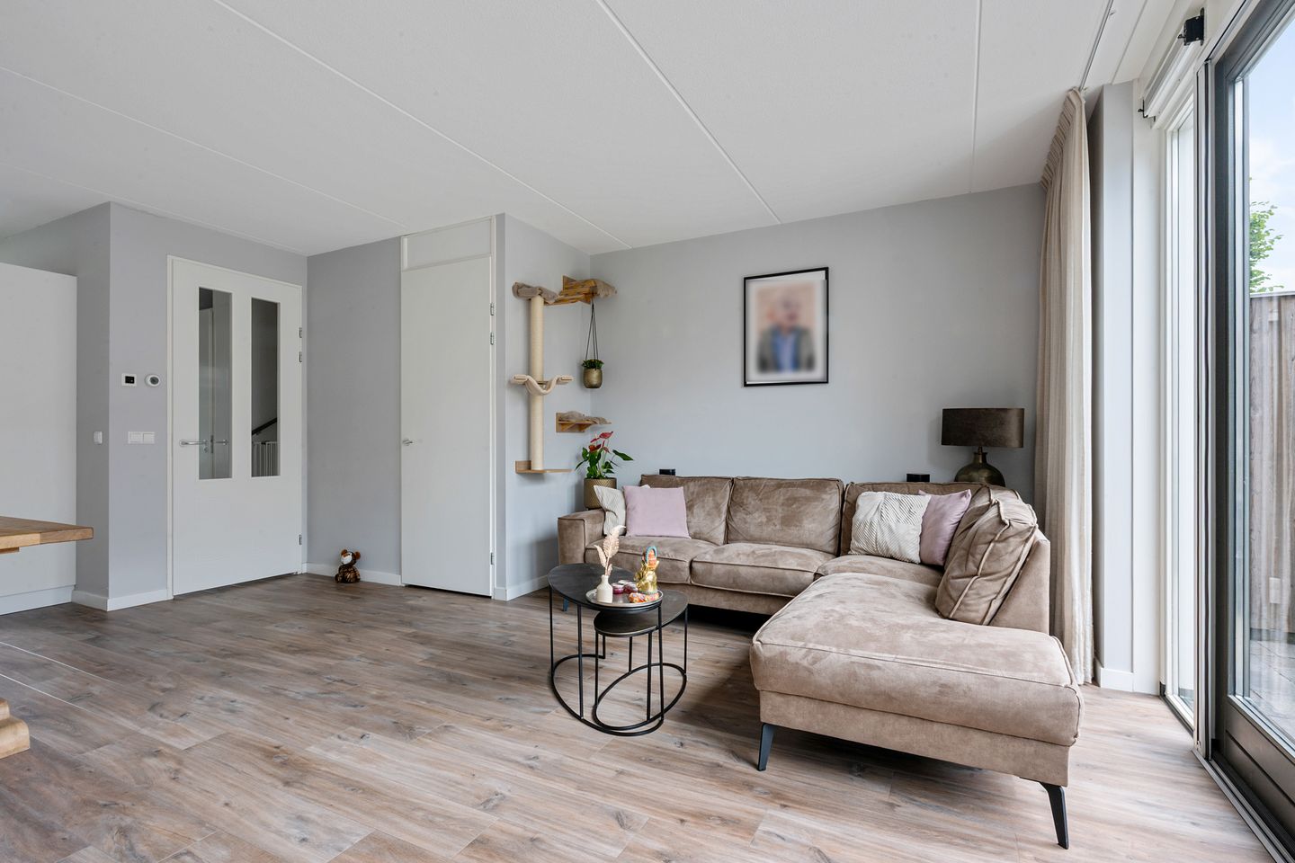 Foto 5 van Glorie van Hollanderf 6