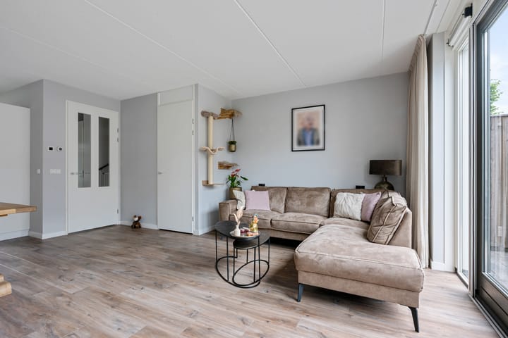 Foto 5 van Glorie van Hollanderf 6