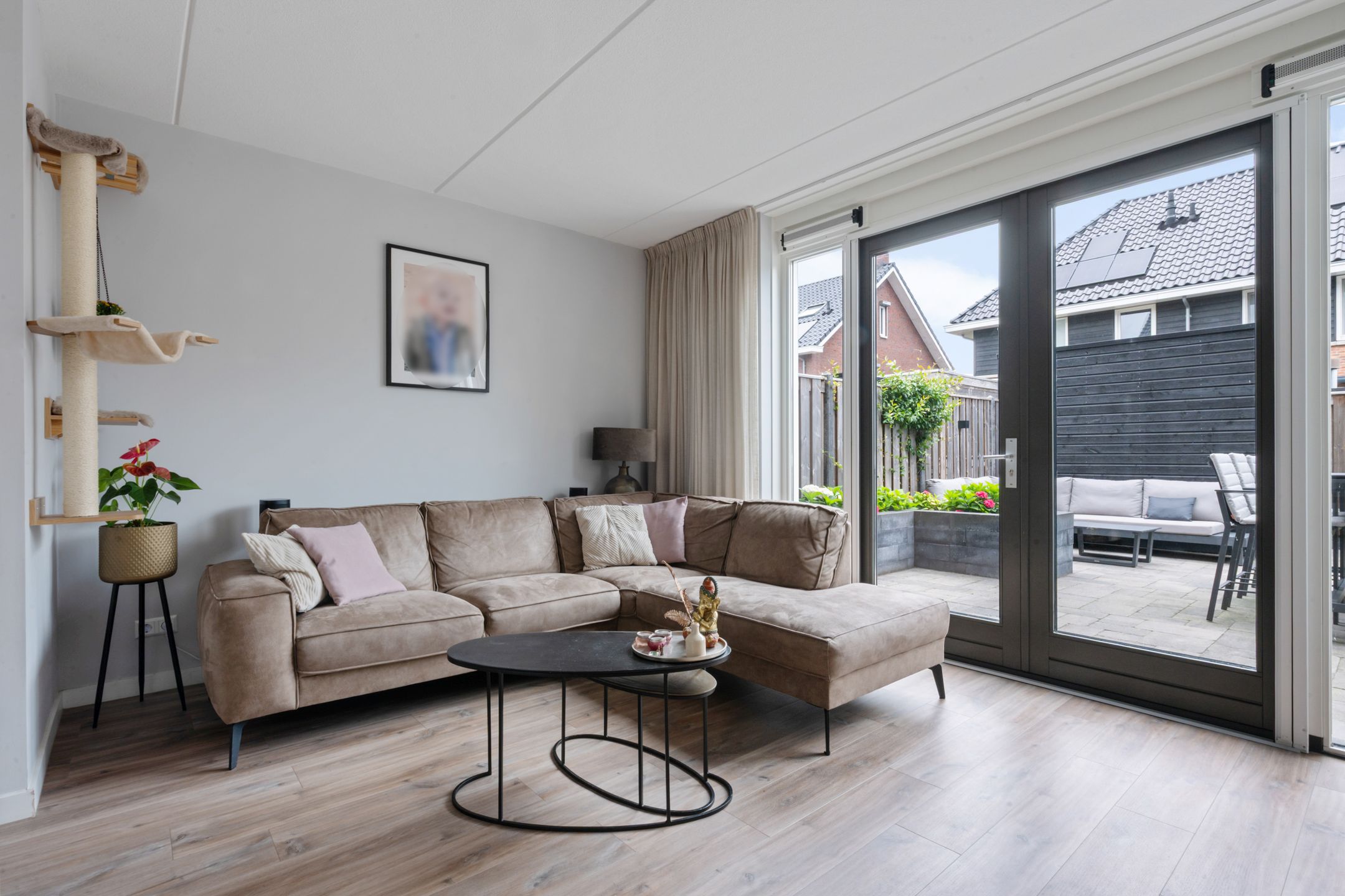 Foto 6 van Glorie van Hollanderf 6