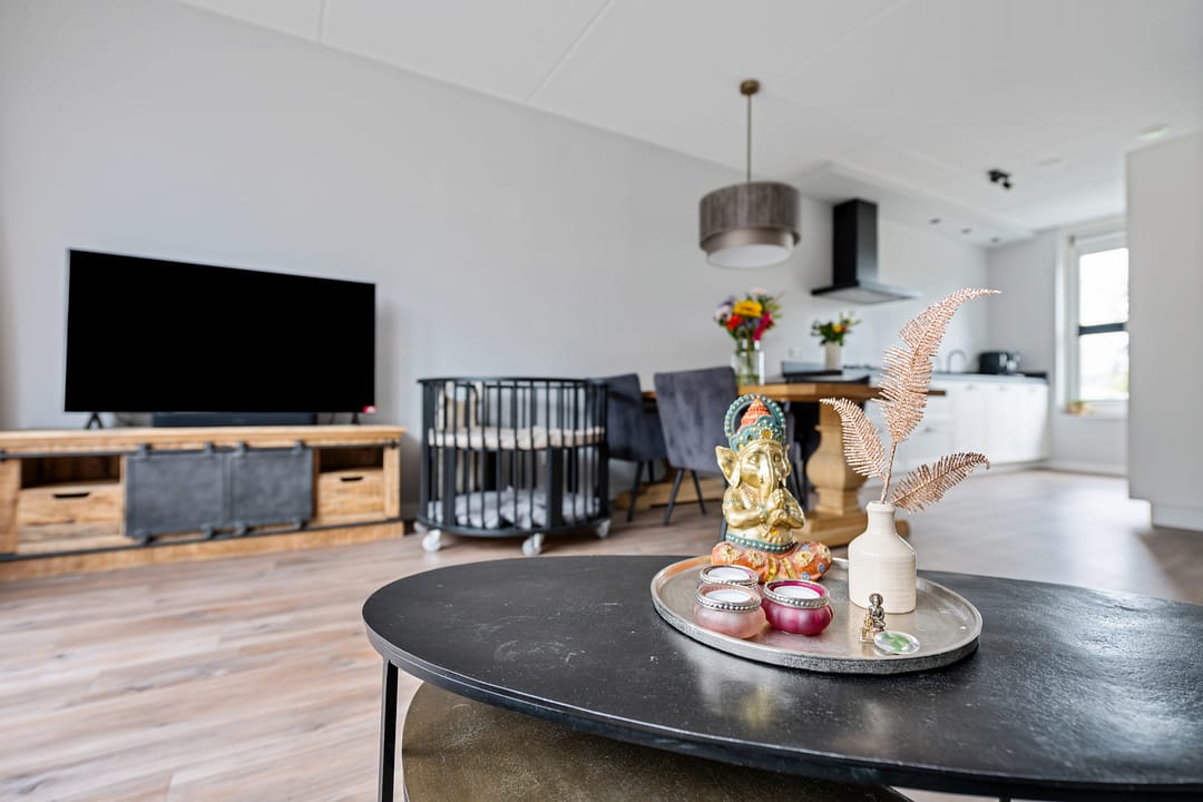 Foto 7 van Glorie van Hollanderf 6