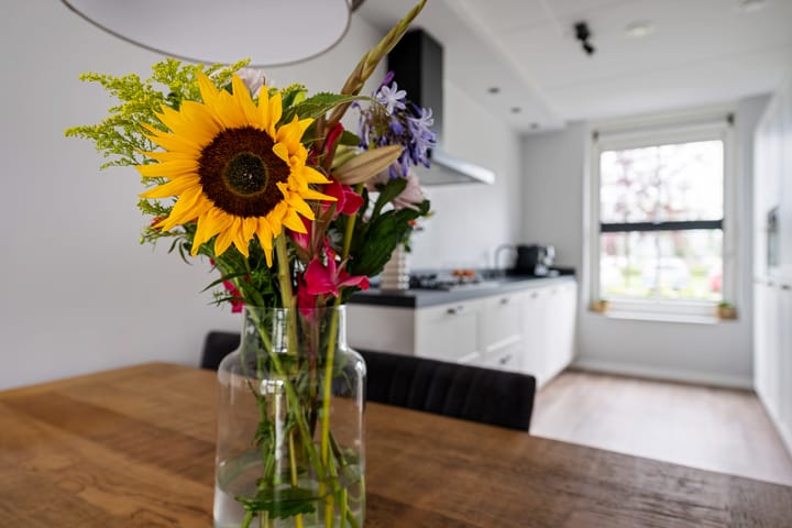 Foto 9 van Glorie van Hollanderf 6