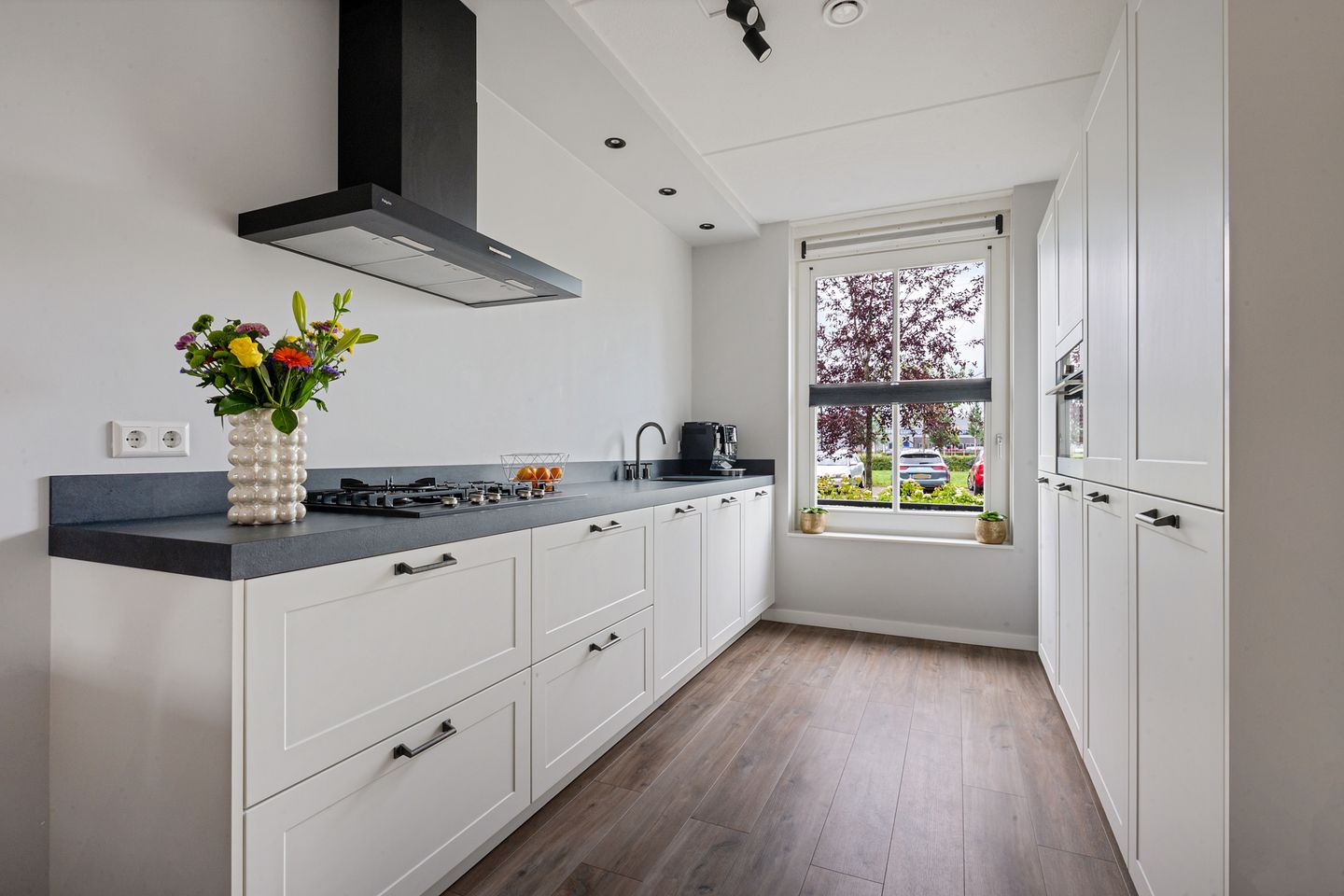 Foto 10 van Glorie van Hollanderf 6