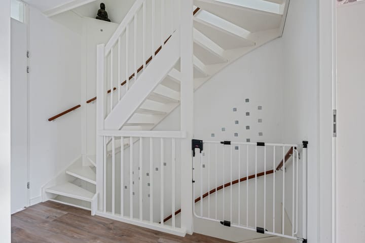 Foto 21 van Glorie van Hollanderf 6