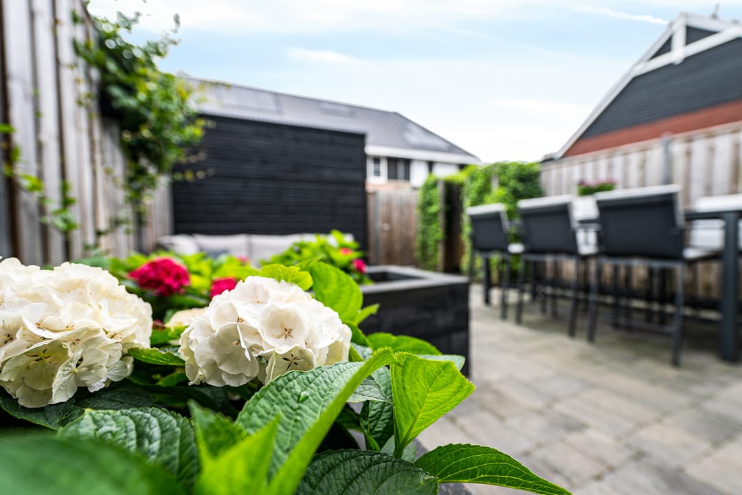 Foto 31 van Glorie van Hollanderf 6