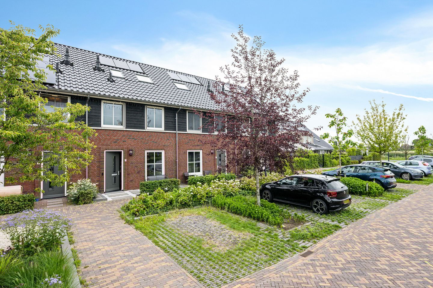 Foto 34 van Glorie van Hollanderf 6