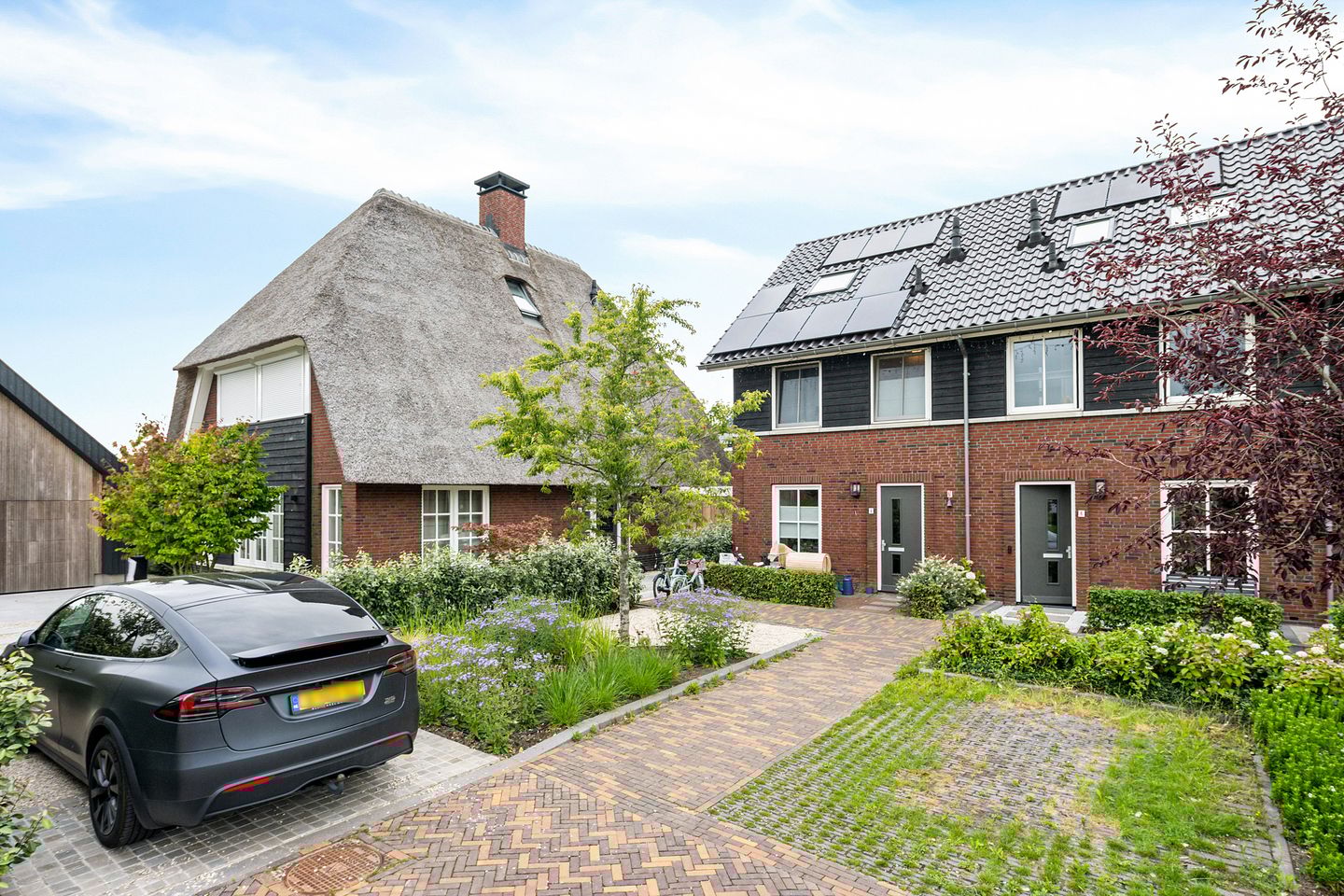 Foto 35 van Glorie van Hollanderf 6