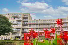 apartments for rent on Prins Bernhardlaan 187