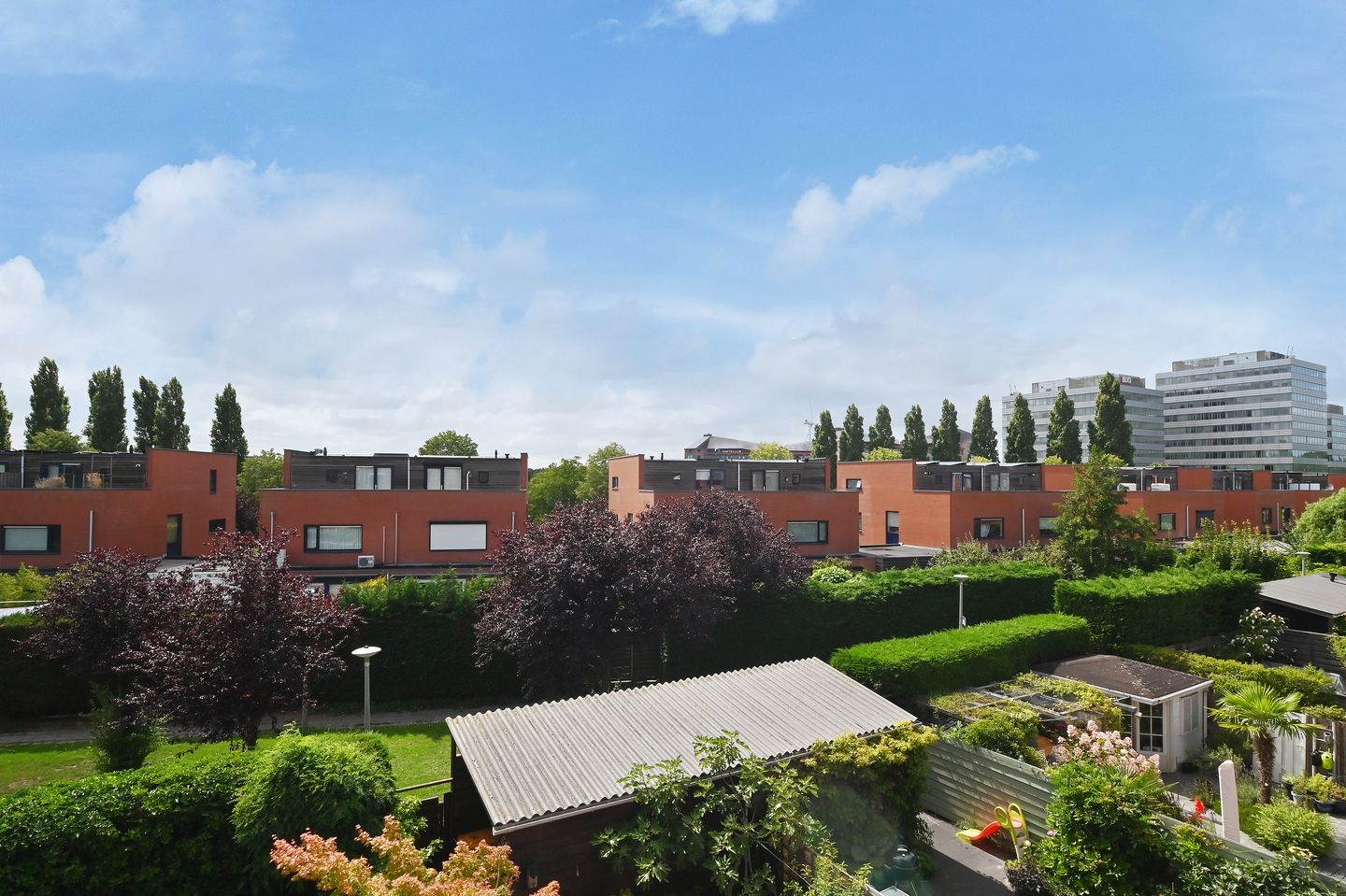 Foto 29 van Pijlkruidveld 17