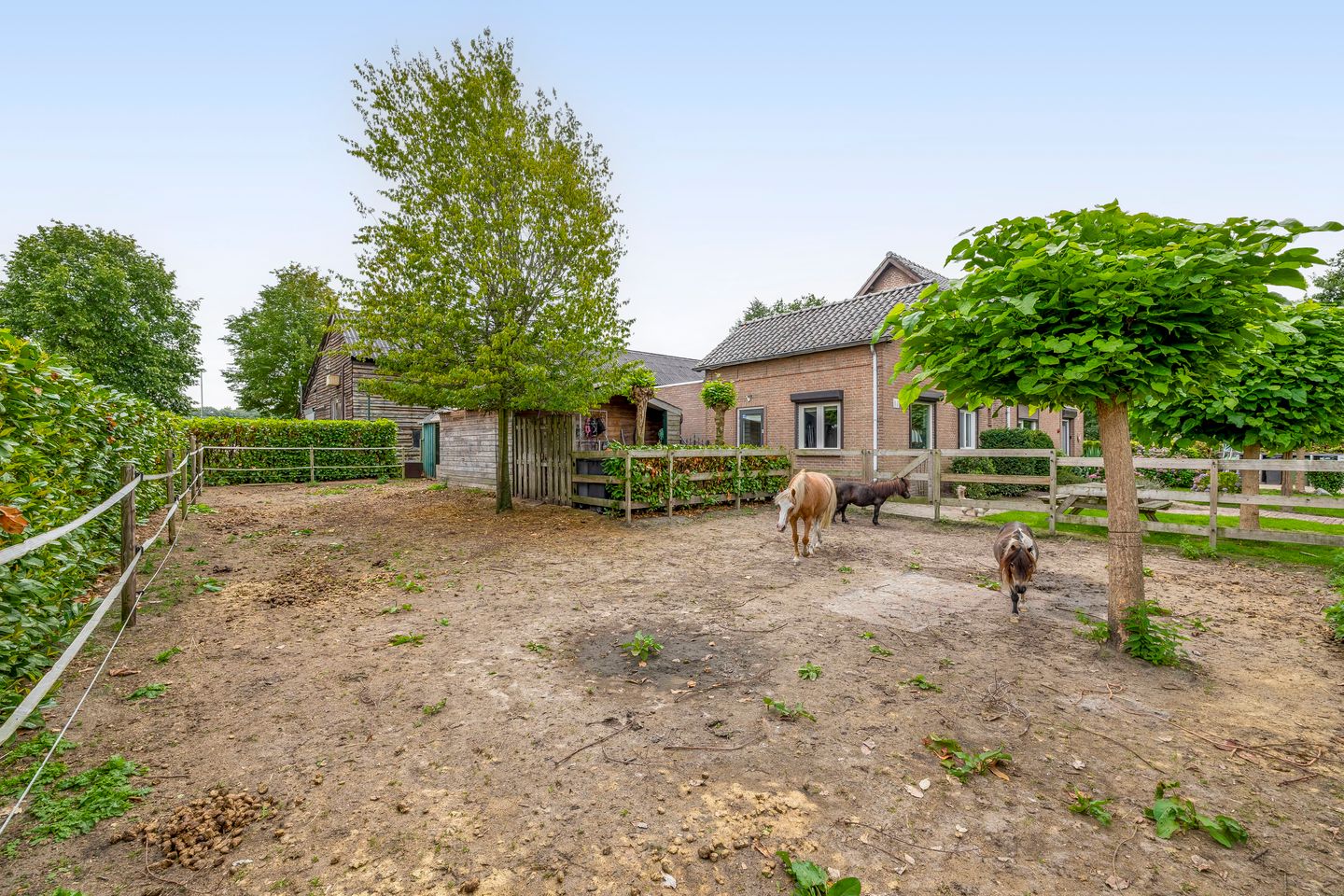 Foto 34 van van Haestrechtstraat 42