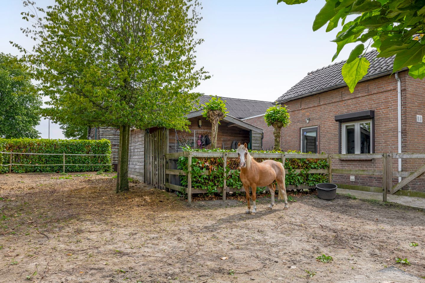 Foto 35 van van Haestrechtstraat 42