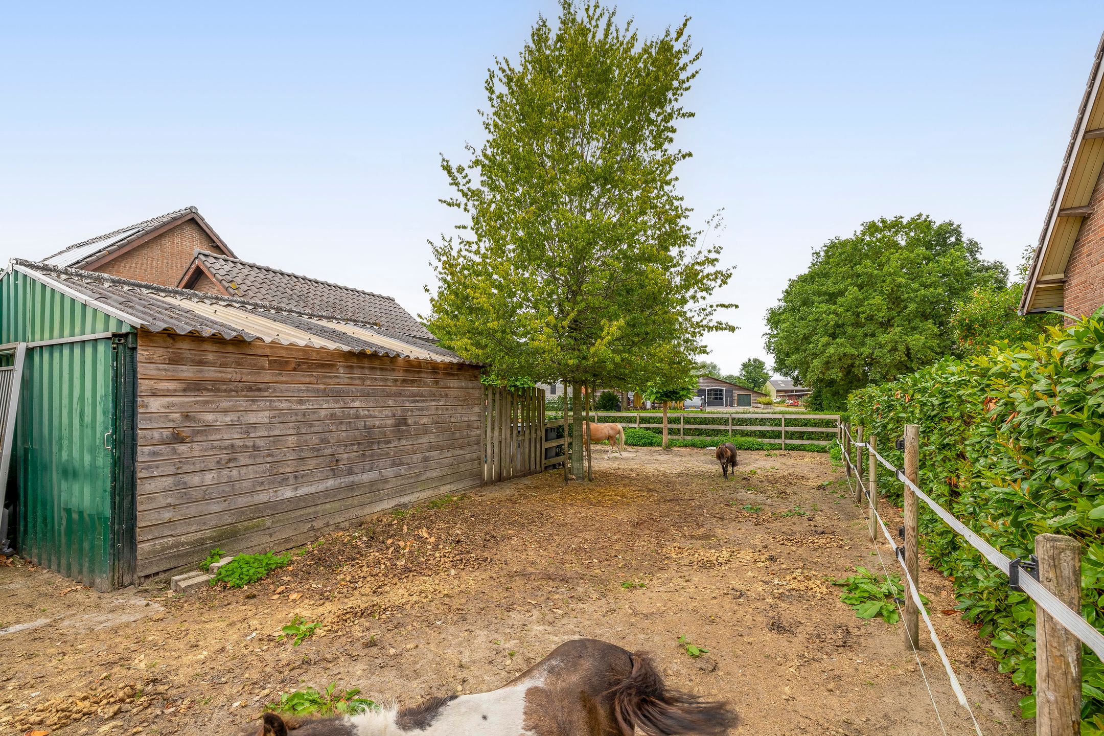 Foto 36 van van Haestrechtstraat 42