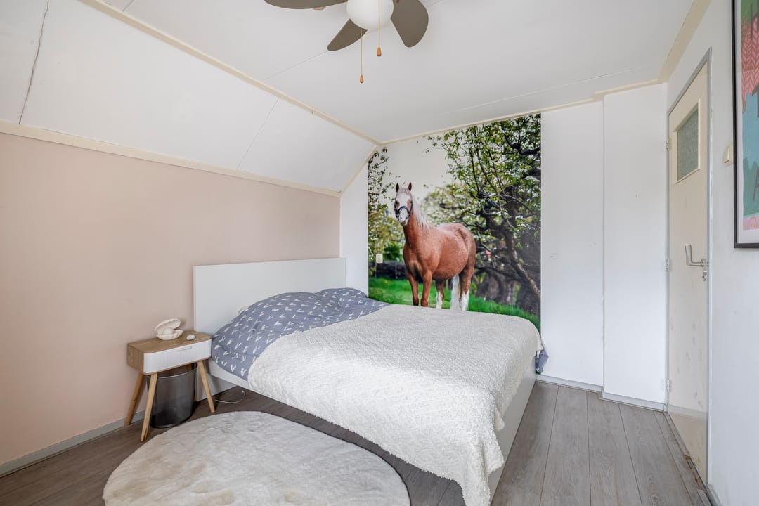 Foto 43 van van Haestrechtstraat 42