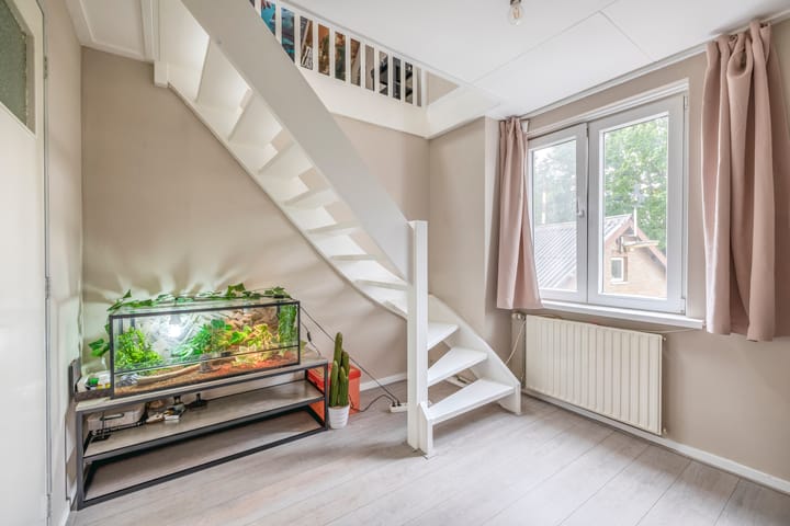 Photo 48 of van Haestrechtstraat 42