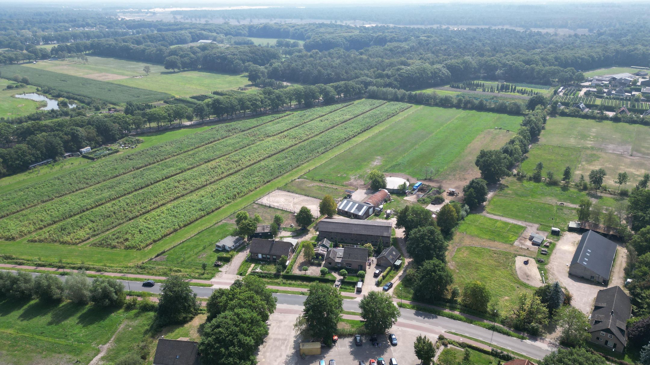 Foto 51 van van Haestrechtstraat 42