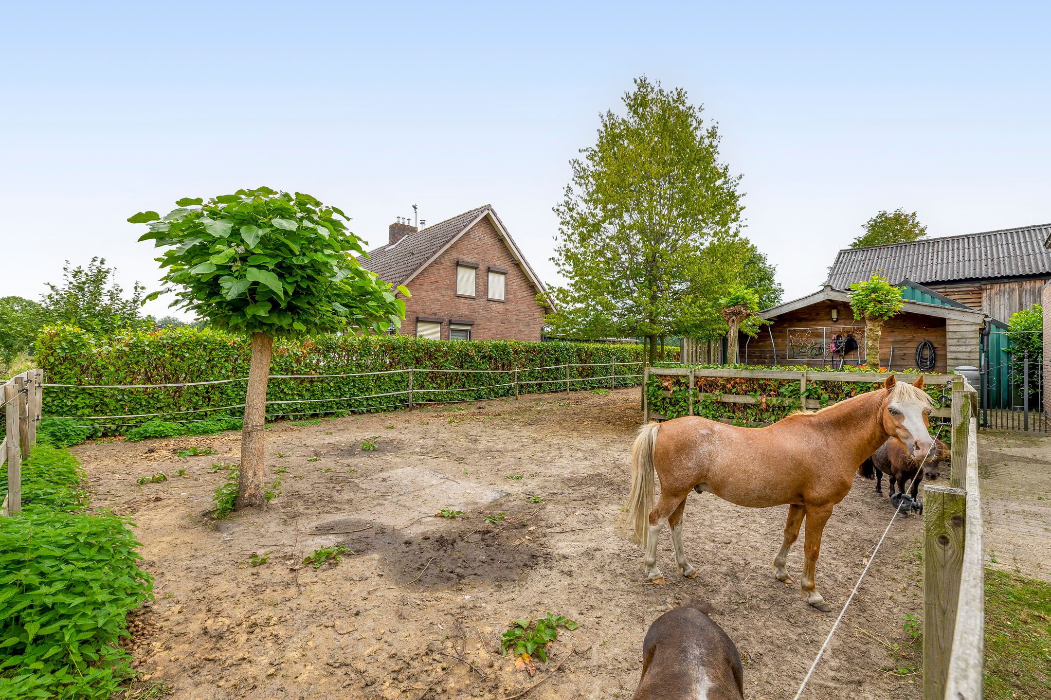 Foto 33 van van Haestrechtstraat 42