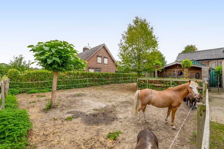 Photo 33 of van Haestrechtstraat 42