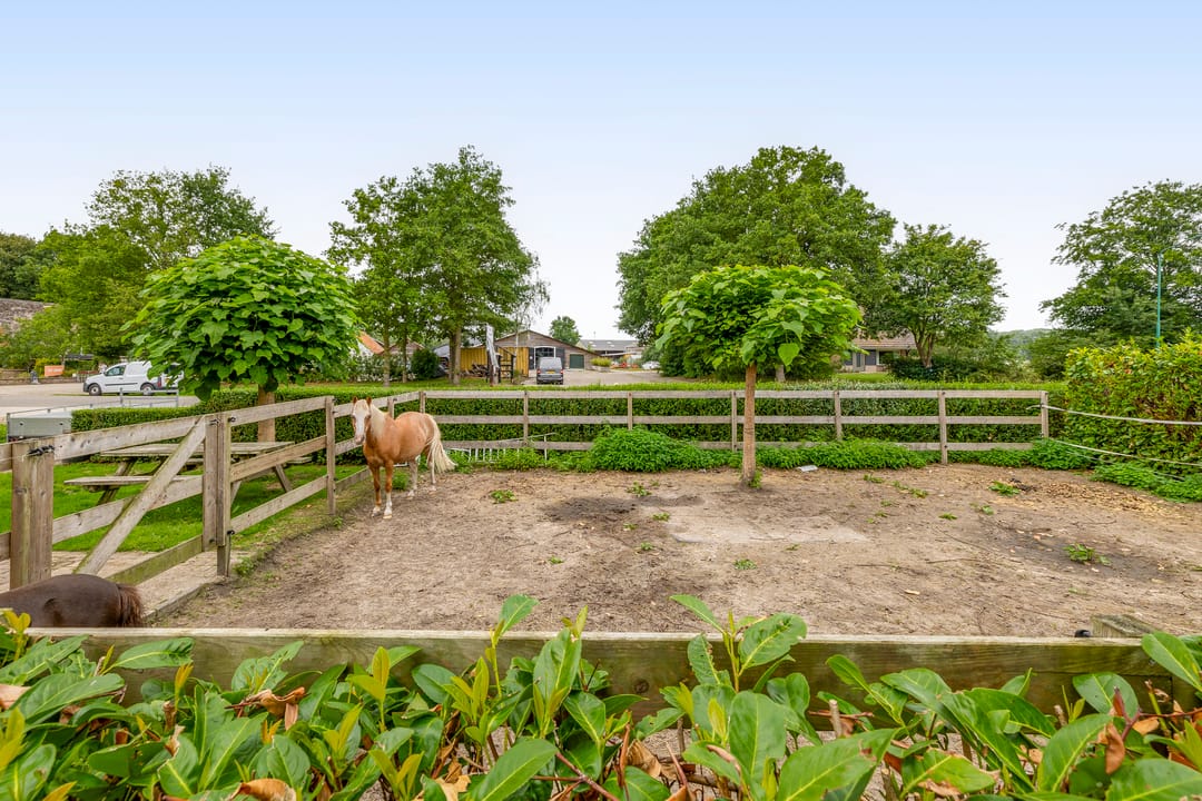 Foto 32 van van Haestrechtstraat 42