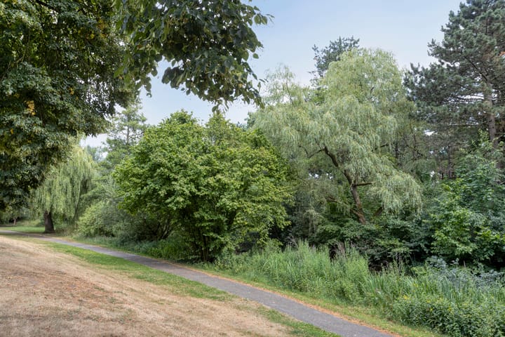 Foto 46 van Breukrand 401