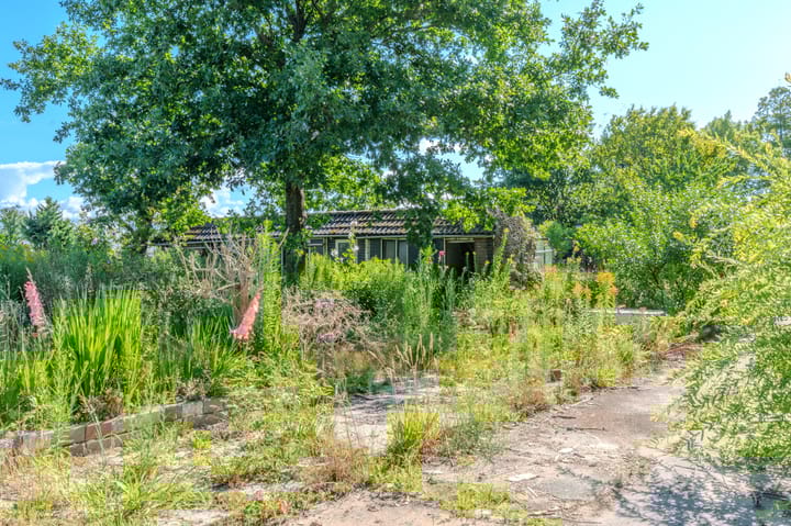 Foto 26 van Westdijk 7