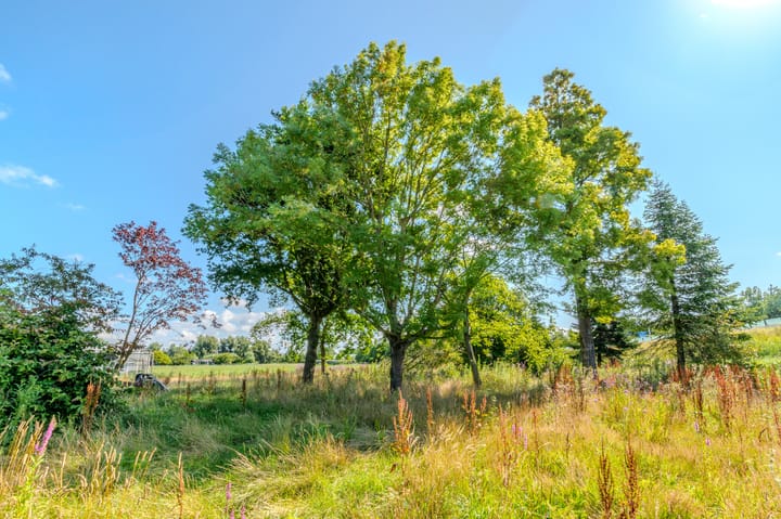 Foto 27 van Westdijk 7