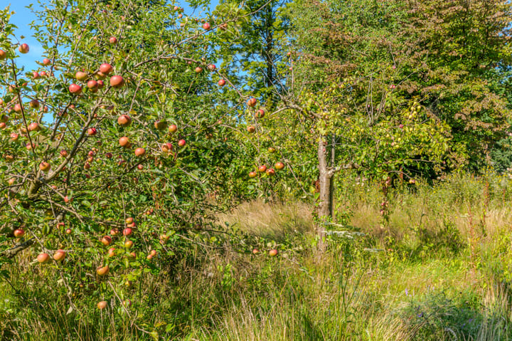 Foto 28 van Westdijk 7