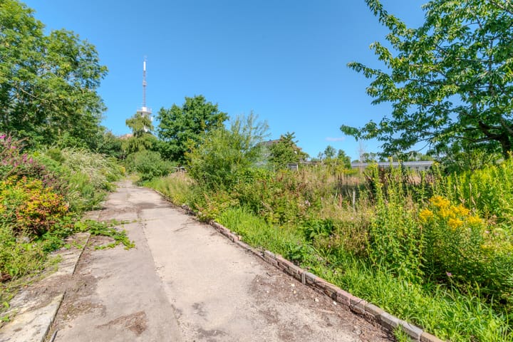 Foto 29 van Westdijk 7