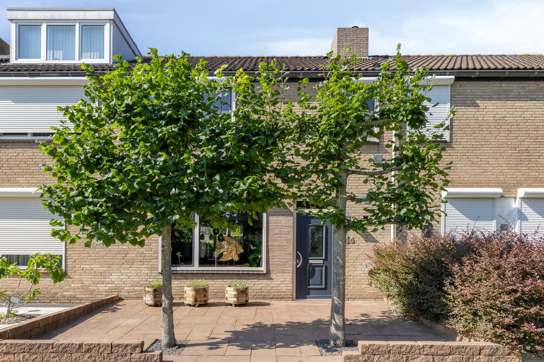 Foto 43 van Paukeslag 40