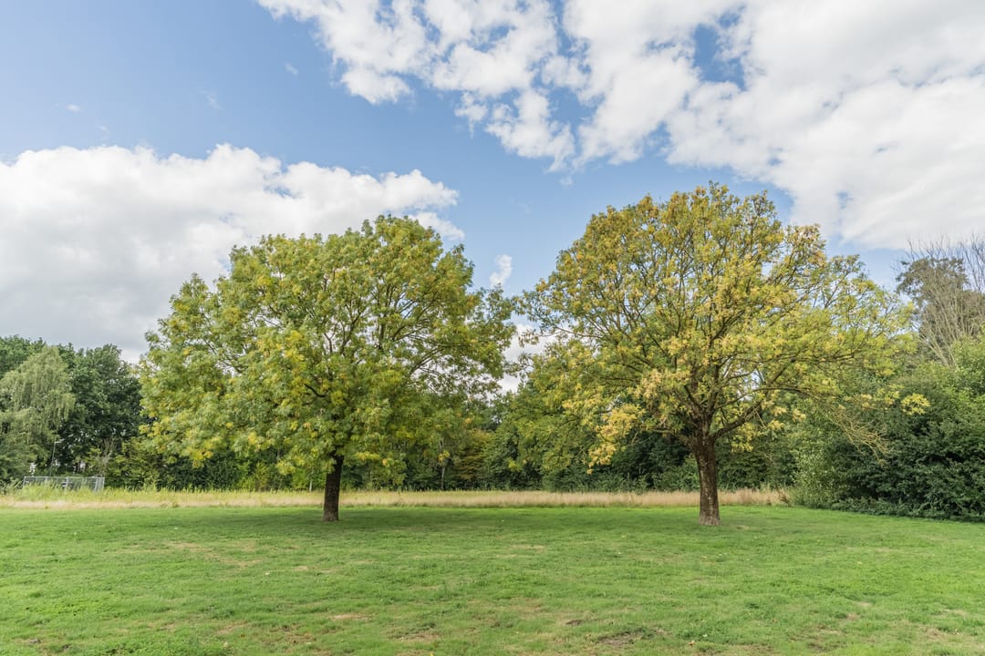 Foto 43 van Elbestraat 13