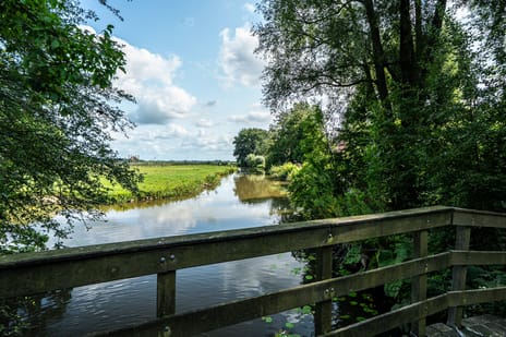 Hounsdyk 6 tertiary image