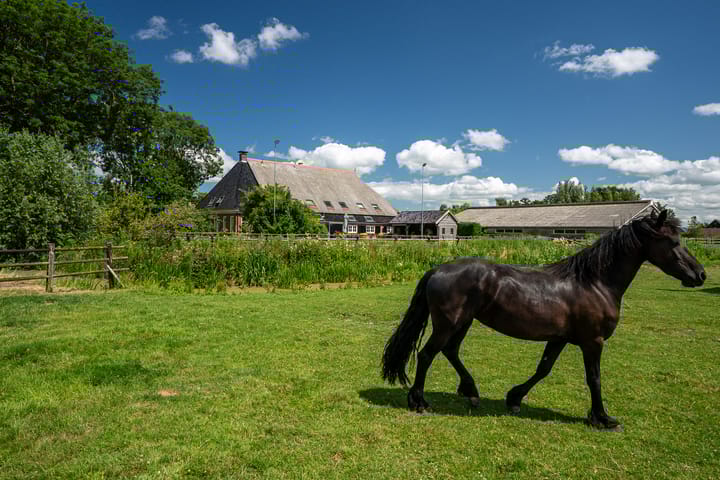 Photo 88 of Hounsdyk 6